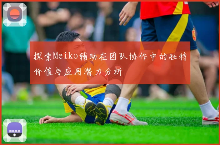 探索Meiko辅助在团队协作中的独特价值与应用潜力分析