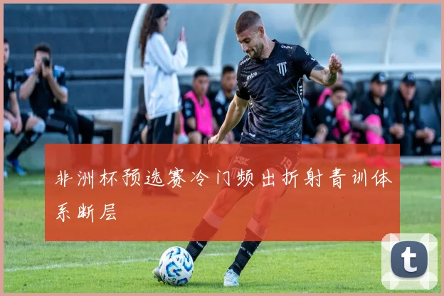 非洲杯预选赛冷门频出折射青训体系断层