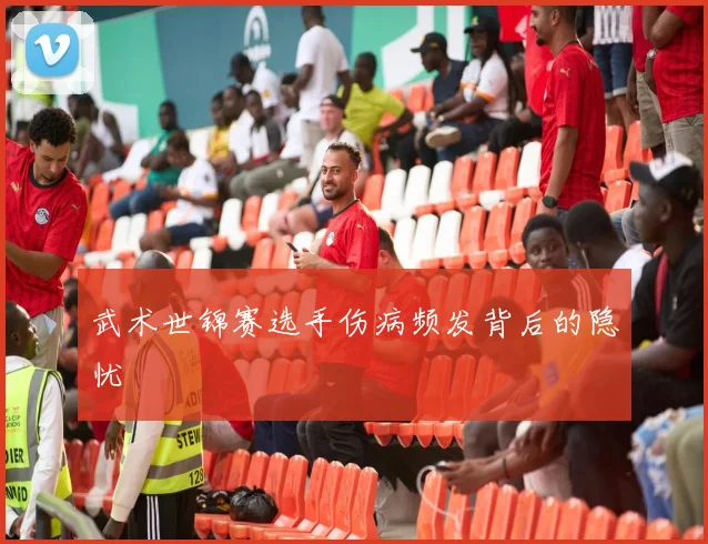 武术世锦赛选手伤病频发背后的隐忧