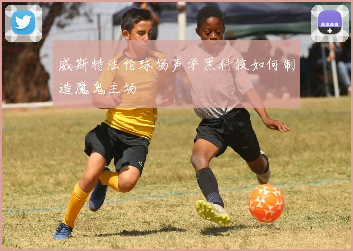 威斯特法伦球场声学黑科技如何制造魔鬼主场