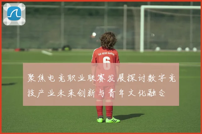 聚焦电竞职业联赛发展探讨数字竞技产业未来创新与青年文化融合