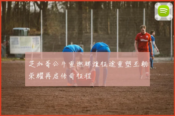 芝加哥公牛重燃辉煌征途重塑王朝荣耀再启传奇征程