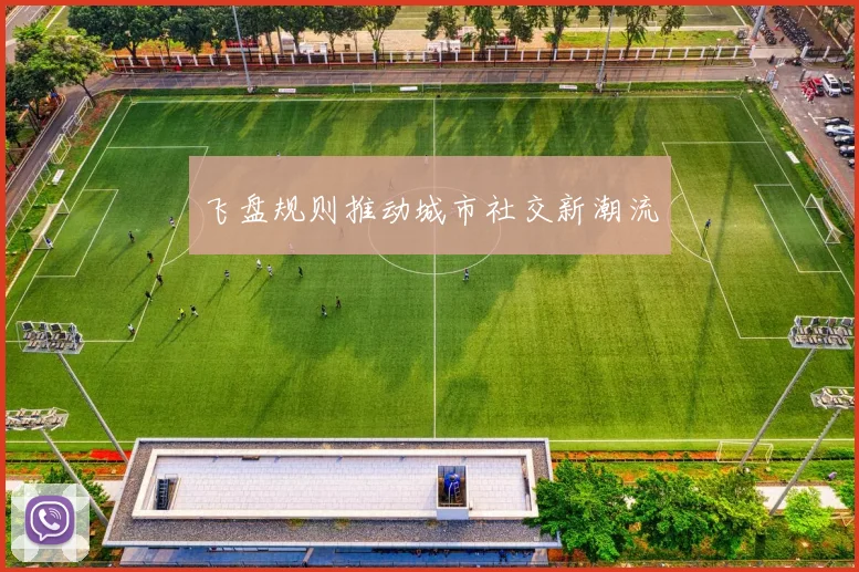 飞盘规则推动城市社交新潮流