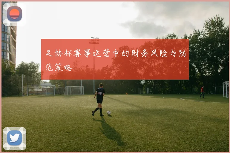 足协杯赛事运营中的财务风险与防范策略